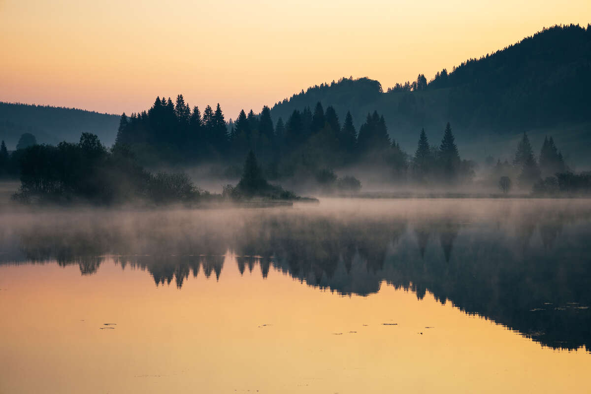 Forêt calme au lever du soleil, symbole de détente et de sérénité