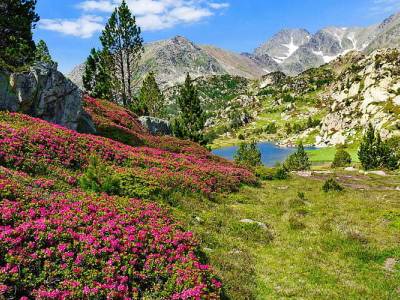 🏔️ Randonnée nature dans les Pyrénées; migration et retour de la vie en altitude