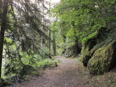 Balade et histoire au fil des eaux de Cauterets