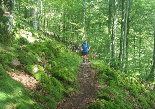 Initiation au Trail Cauterets