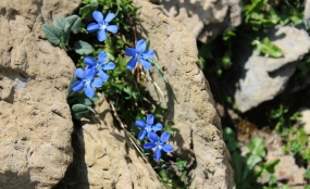 A lassaut de la brèche et du Taillon 2